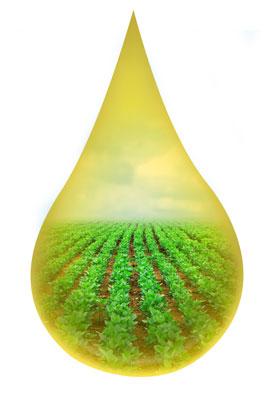 Aceite biodegradable Oleaginosa Centro-Sur S.A.