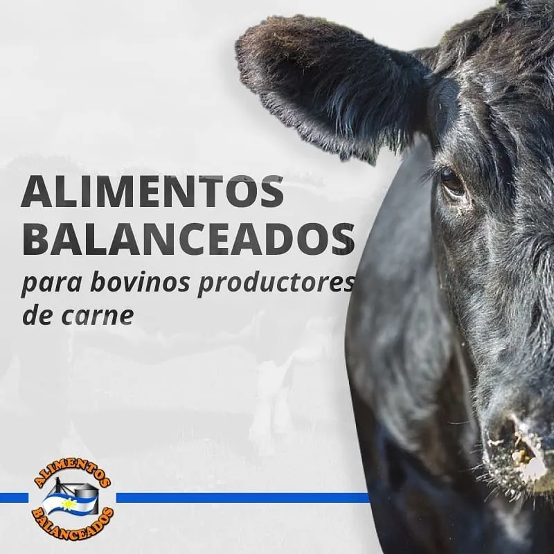 Balanceado Bovinos