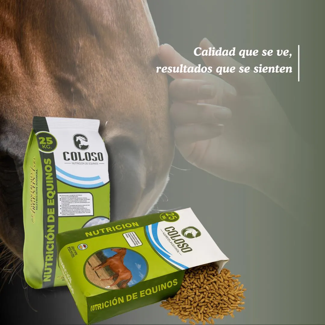 Equino de Trabajo