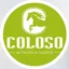 COLOSO - Nutrición de Equinos