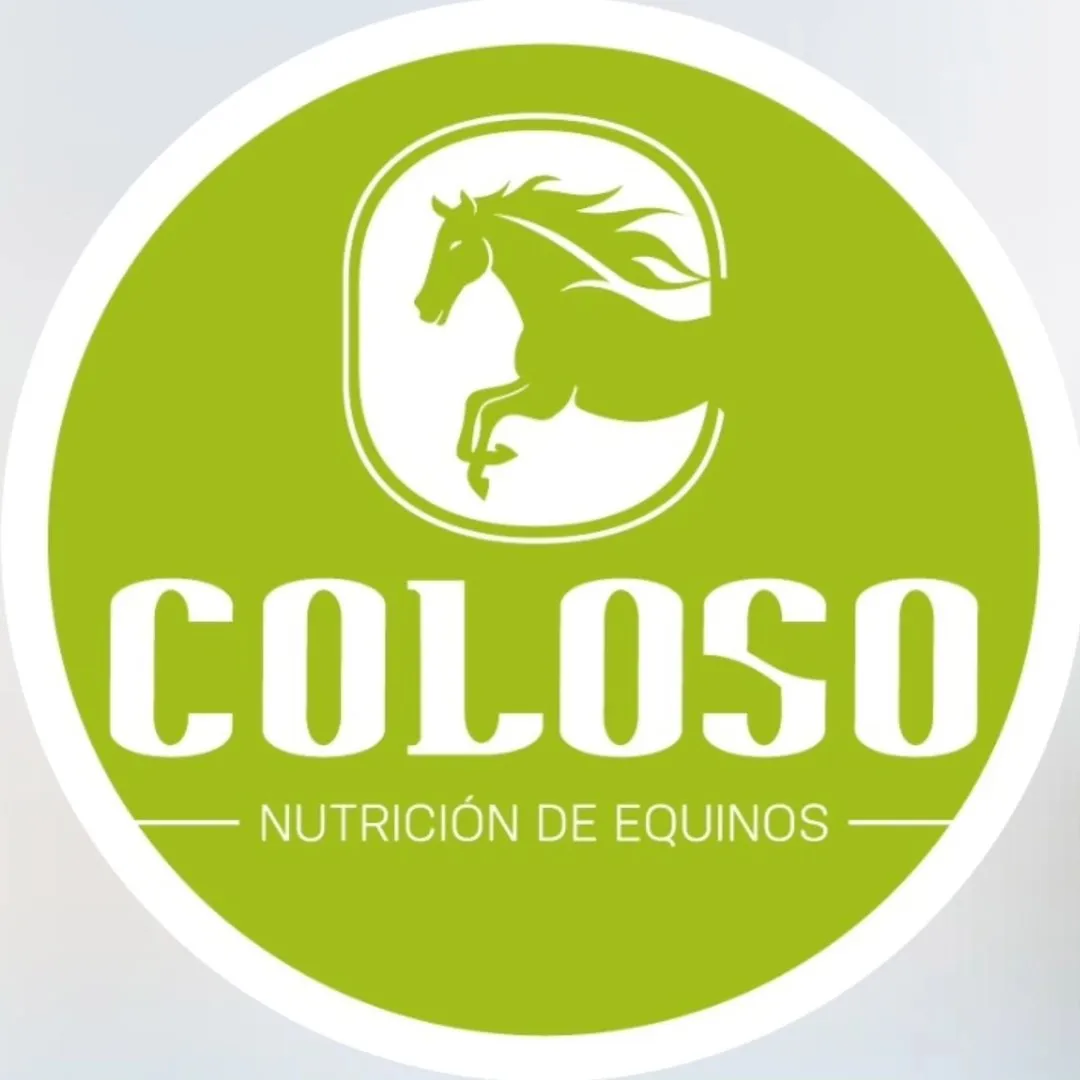 Logo COLOSO Equinos